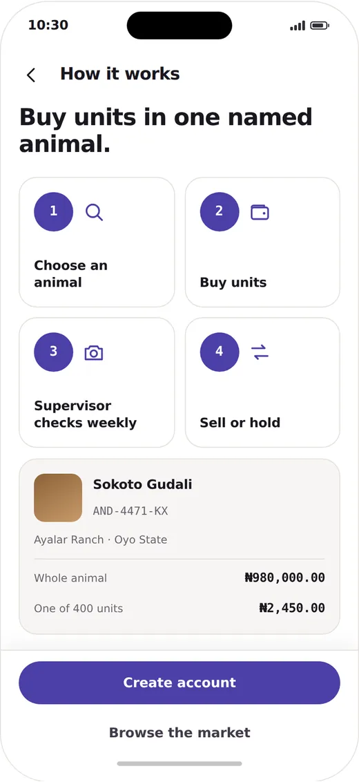 Andry screen: How it works