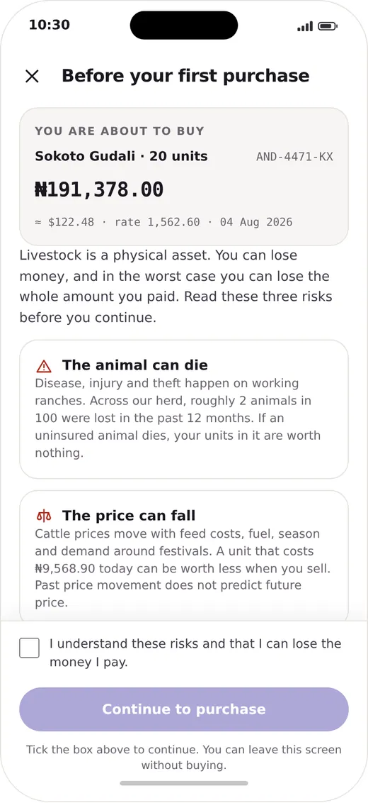 Andry screen: Before your first purchase