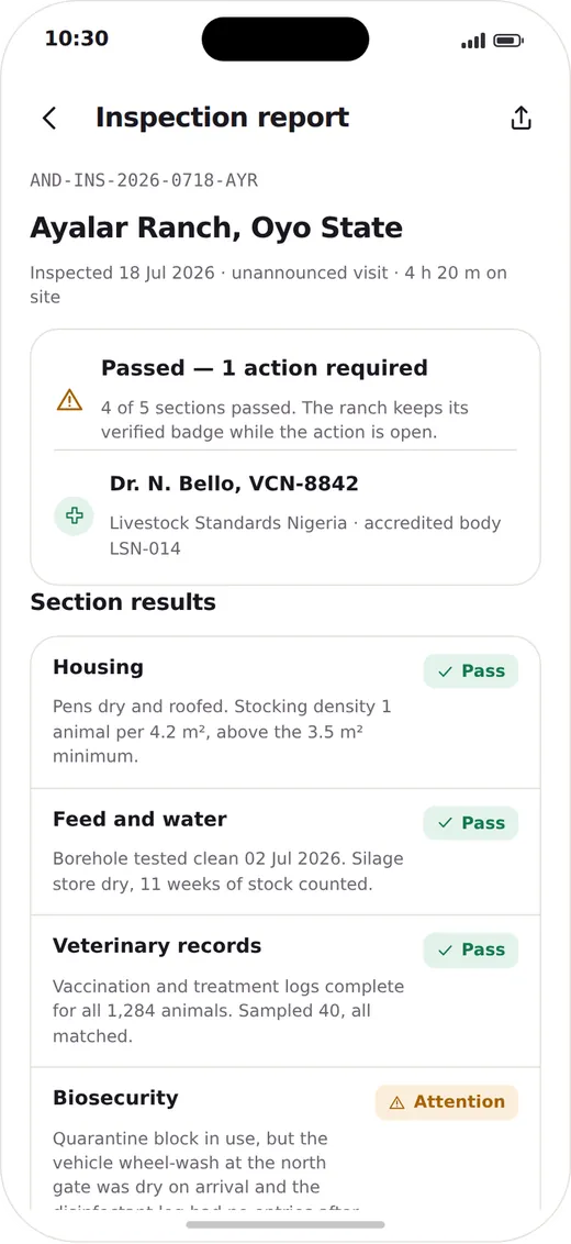 Andry screen: An inspection report